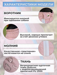 Дождевик для собак (2 фото из 3)