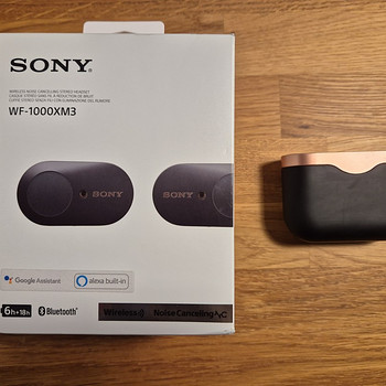 Внутриканальные наушники Sony WF-1000XM3