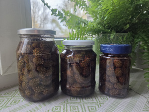 Варенье из шишек (1 фото из 1)