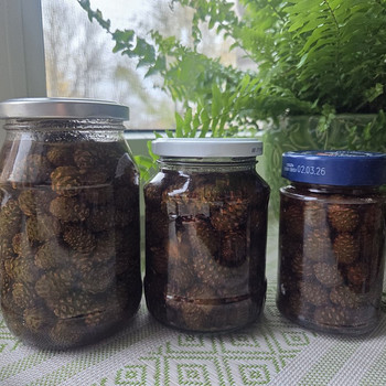Варенье из шишек