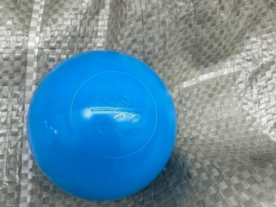 Pallimere pallid