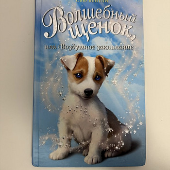 СЬЮ БЕНТЛИ «Волшебный щенок, или Воздушное заклинание»