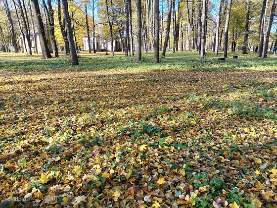 Meklēju darbu
