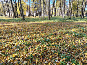 Meklēju darbu (1 фото из 1)
