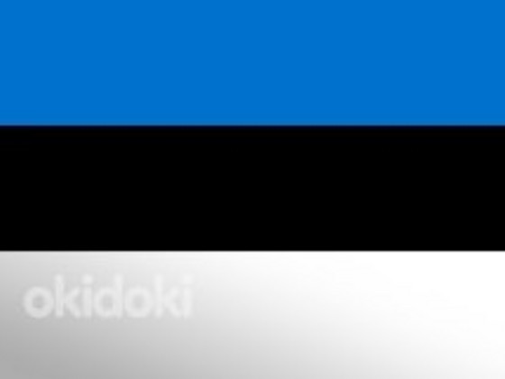 Eesti keele eraõpetaja. Eesti keel