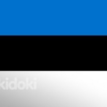 Eesti keele eraõpetaja. Eesti keel