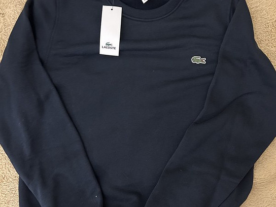 Lacoste
