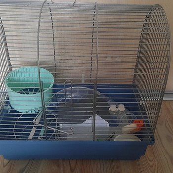 Hamstri või linnu puur