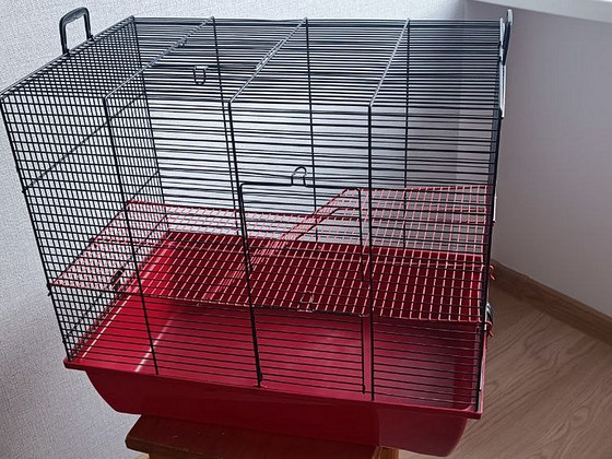 Näriliste puur
