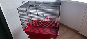Näriliste puur (1 foto / 2)