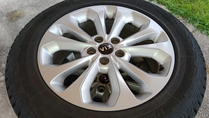 Диски 18" Kia (Hyundai) с зимней резиной Hankook Ipike Rw11 (4 фото из 9)