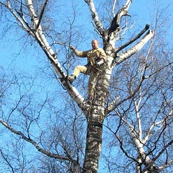 Puude mahavõtmine ja lõikamine