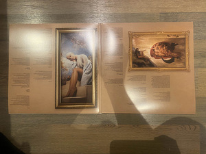 Ariana Grande Sweetener Vinyl - Vinüül (2 foto / 2)
