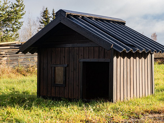 Koerakuut pärast renoveerimist, kesk. / suur. koertele