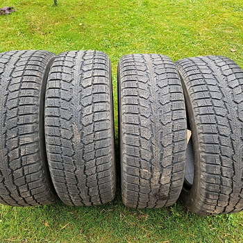 225/60 R18 talverehvid Toyo Observe GSi100H