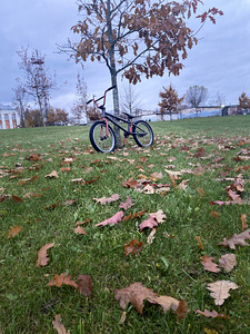 BMX trikiratas varuosadeks. (1 foto / 10)