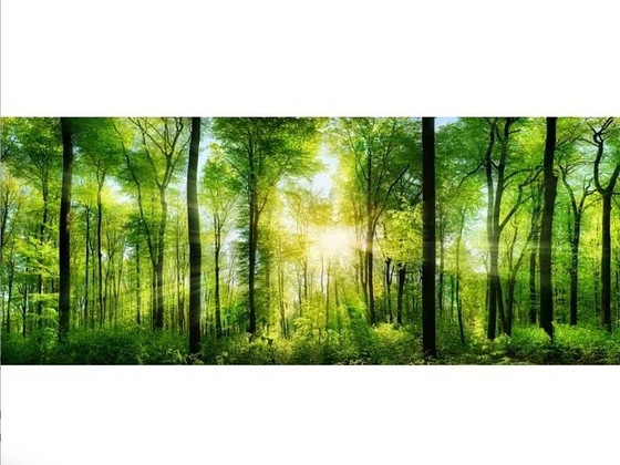Стеклянная картина 50x125