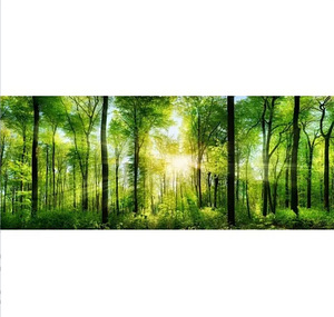 Стеклянная картина 50x125 (1 фото из 2)