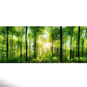 Стеклянная картина 50x125