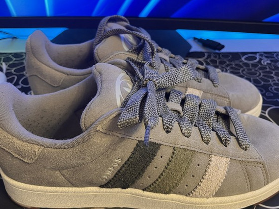 Campus 00’s shadow olive