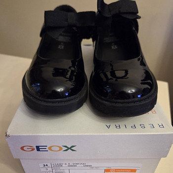 Geox kingad suurus 34