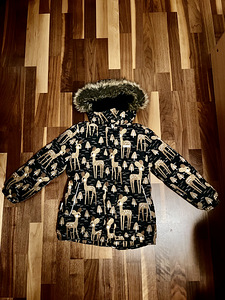 Lenne talvejope (1 foto / 2)