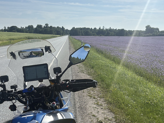 Cf moto 650mt