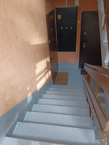 Raemetsa tee, Reiu, Häädemeeste vald, Pärnumaa (1 foto / 15)