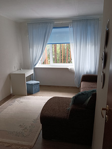 Raemetsa tee, Reiu, Häädemeeste vald, Pärnumaa (4 foto / 15)