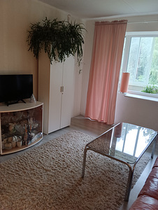 Raemetsa tee, Reiu, Häädemeeste vald, Pärnumaa (5 foto / 15)