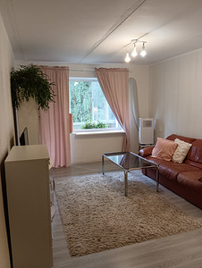 Raemetsa tee, Reiu, Häädemeeste vald, Pärnumaa (6 foto / 15)