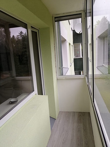 Raemetsa tee, Reiu, Häädemeeste vald, Pärnumaa (8 foto / 15)