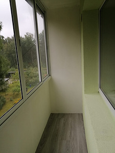 Raemetsa tee, Reiu, Häädemeeste vald, Pärnumaa (9 foto / 15)