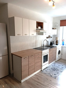 Raemetsa tee, Reiu, Häädemeeste vald, Pärnumaa (14 foto / 15)