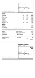 DREO ventilaator/kütteseade ja jahuti (6 foto / 8)
