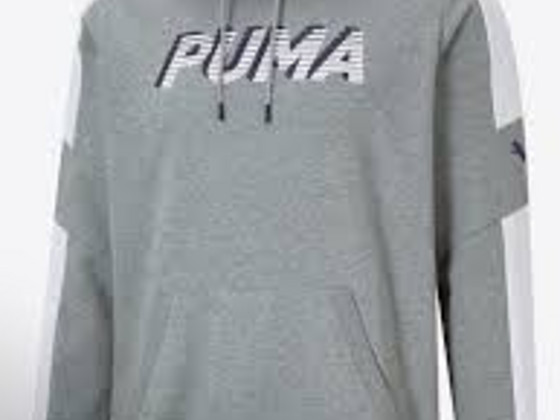 Puma pusa