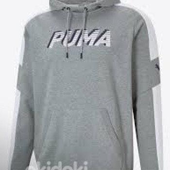 Puma pusa