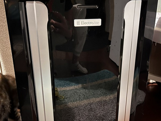 Electrolux Z9124 Oxygen Õhupuhasti