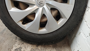 Corolla 205/55/R16 plekkveljed korralike lamellrevidega (6 foto / 9)