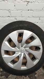 Corolla 205/55/R16 plekkveljed korralike lamellrevidega (9 foto / 9)
