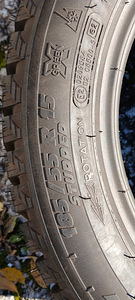 Новые шипованные шины Michelin (4 фото из 4)