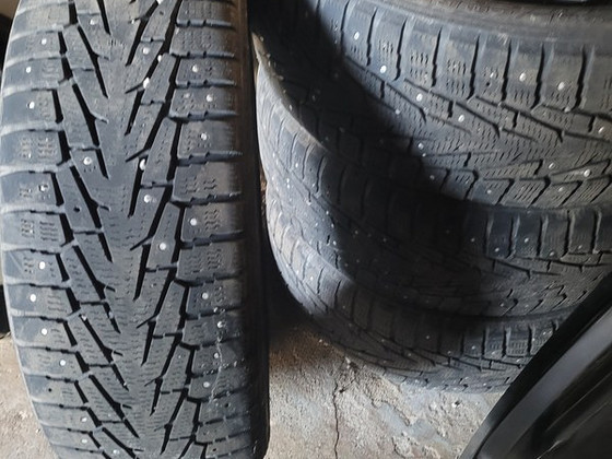 Talverehvid R18