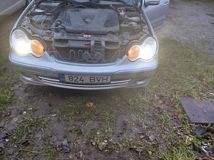 Ksenoonlambid (4 foto / 4)