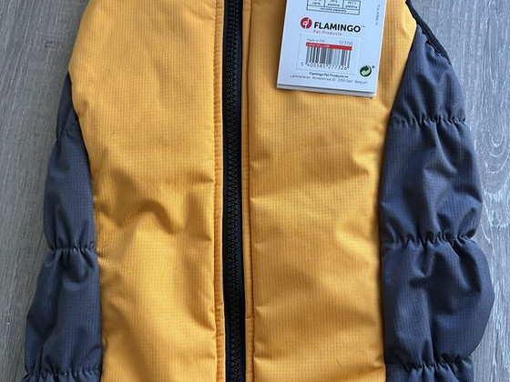 Koerale vest