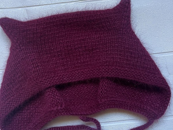 Kassimüts
