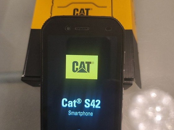 CAT S 42 smartphone