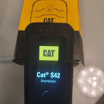 CAT S 42 smartphone
