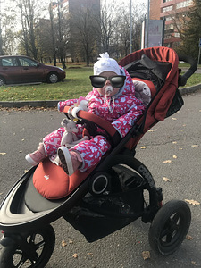 Коляска Joie Crosster (3 фото из 3)