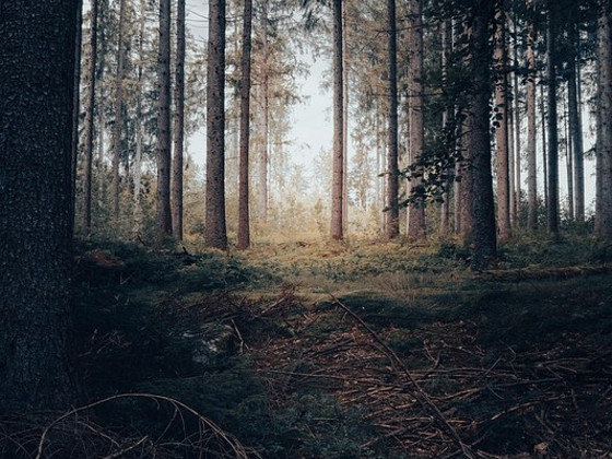 Lisatöö