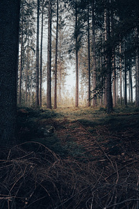 Подработка (1 фото из 1)